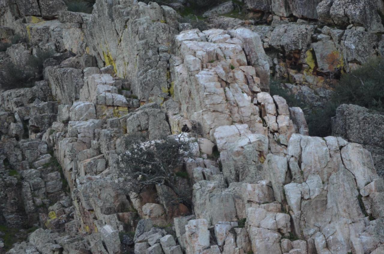 Alojamiento La Canada Monfrague Torrejón el Rubio Dış mekan fotoğraf