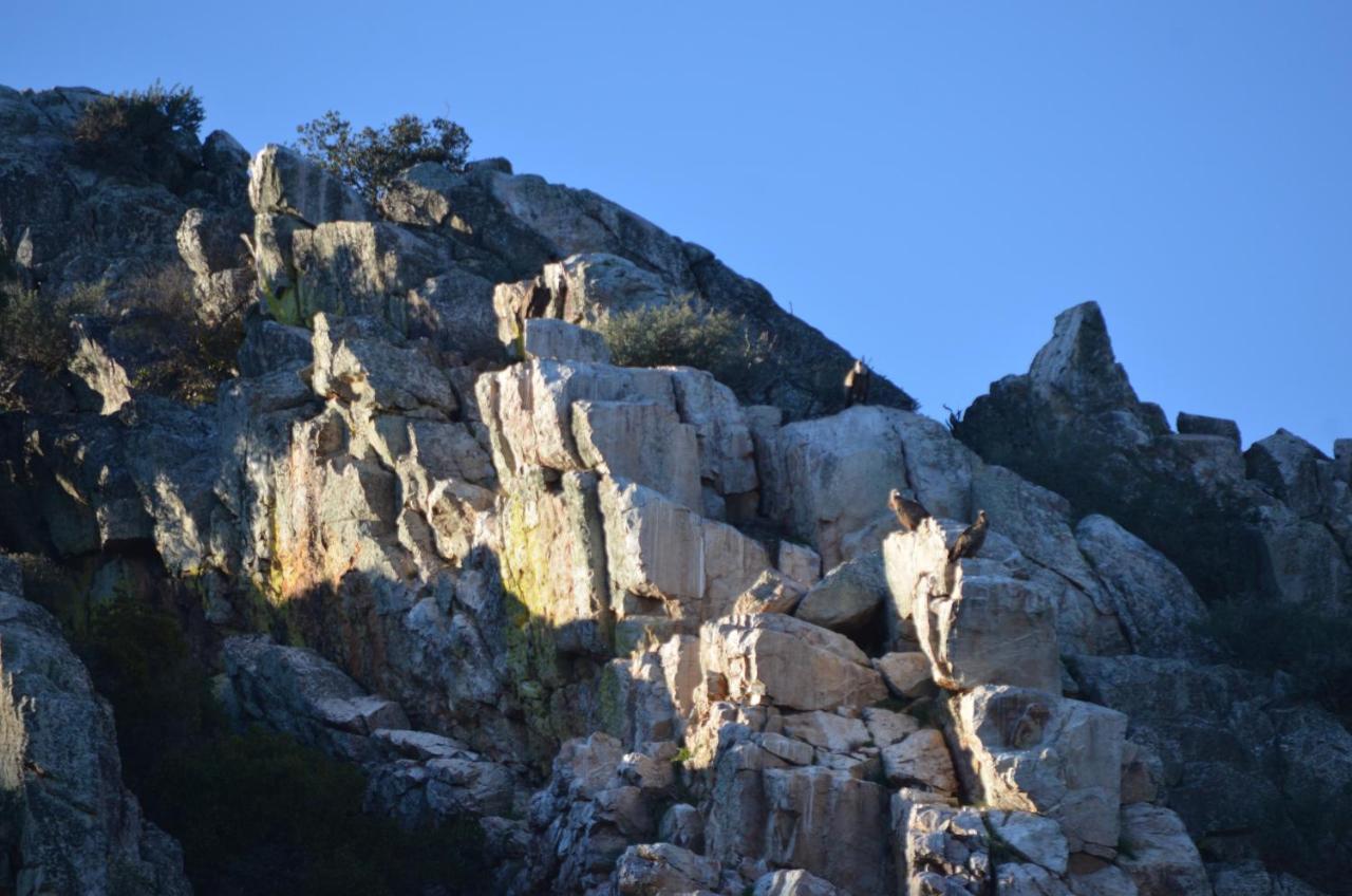 Alojamiento La Canada Monfrague Torrejón el Rubio Dış mekan fotoğraf